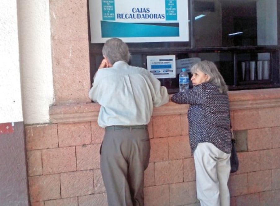 SAT y Canacope asesorarán a Repecos