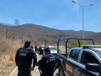 Asegura Profepa vehículo con madera ilegal en la Sierra Gorda de Querétaro