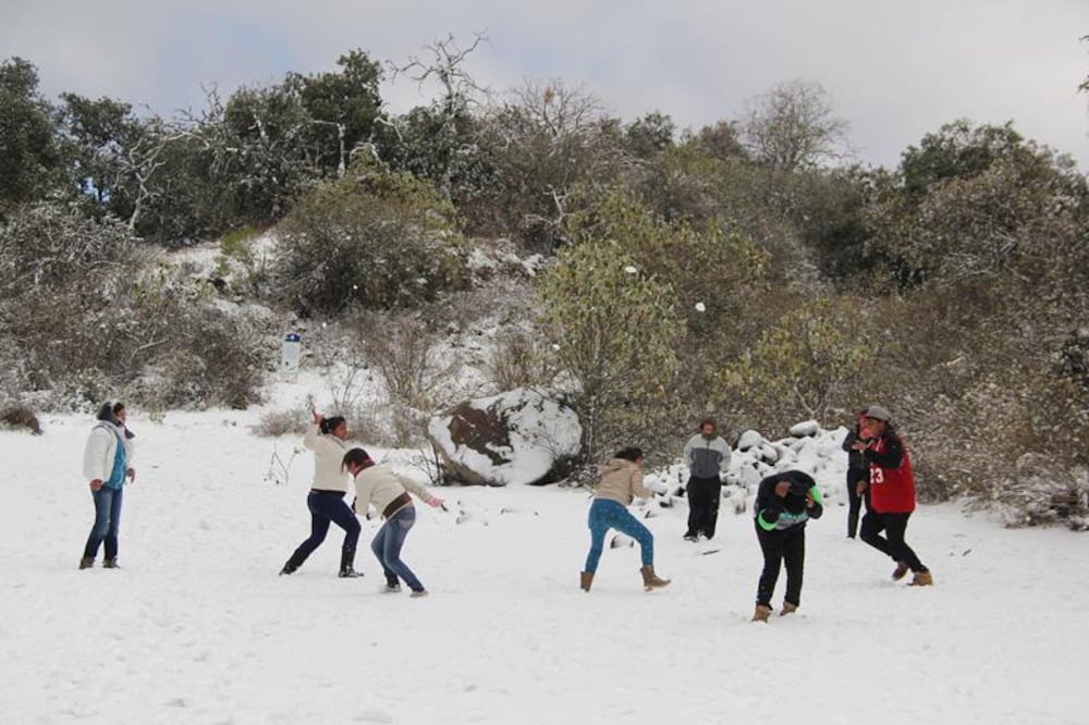 Fuerte viento y nevadas causan daños 