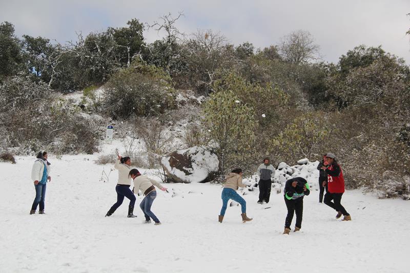Fuerte viento y nevadas causan daños