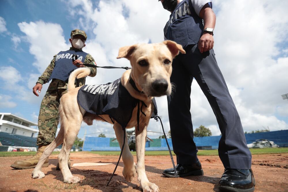 Foto: German Espinosa