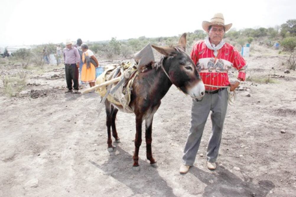 Beneficiarán a 236 localidades en SJR 