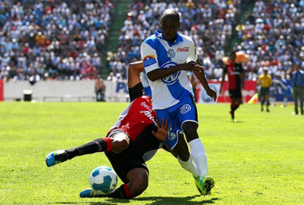 Gallos Blancos, en las últimas