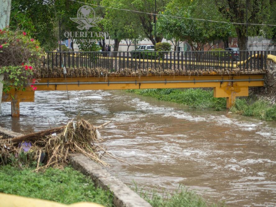 Foto: Fernando Camacho