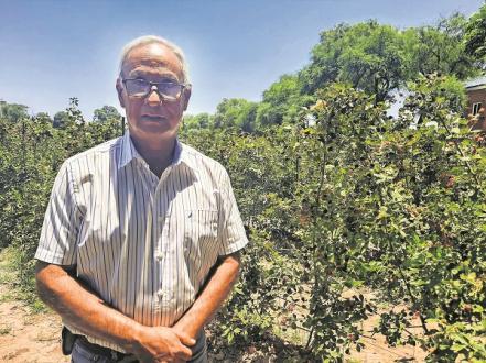 Finca de zarzamoras: “niños comen de la planta lo que conocen sólo del súper”