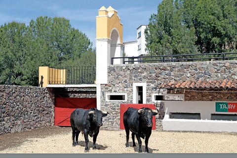 Esta noche, mano a mano de lujo