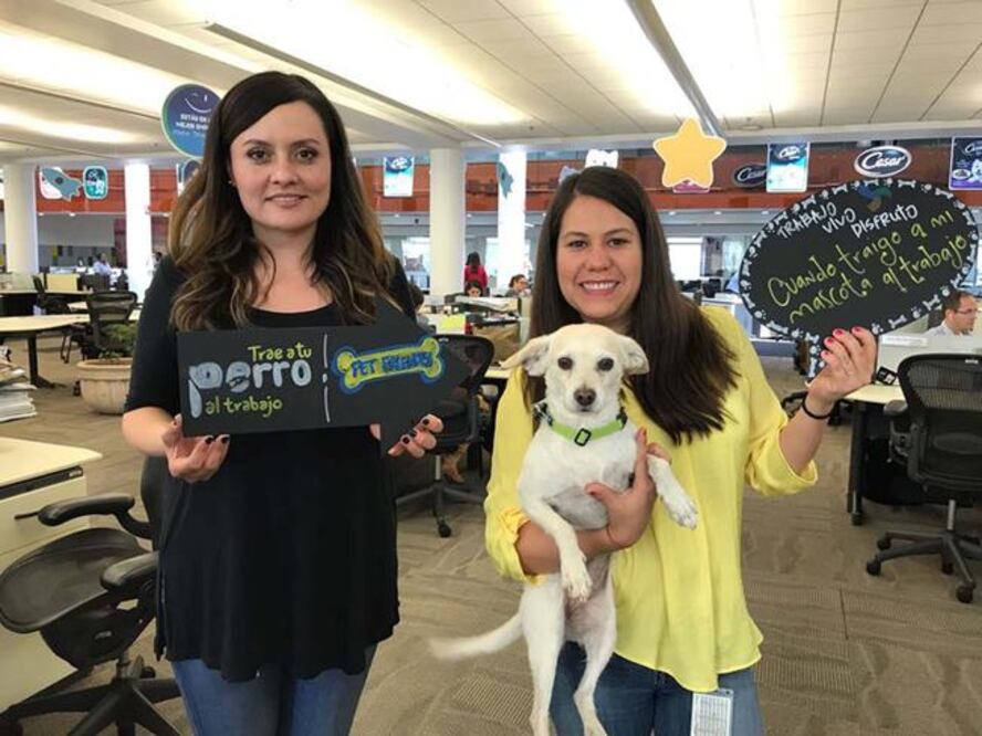 Mars México dijo que el mercado nacional de alimento para mascotas genera ventas por alrededor de 27 mil millones de pesos; actualmente la sociedad le ha otorgado un lugar importante en su día a día a sus mascotas. / Foto: Especial