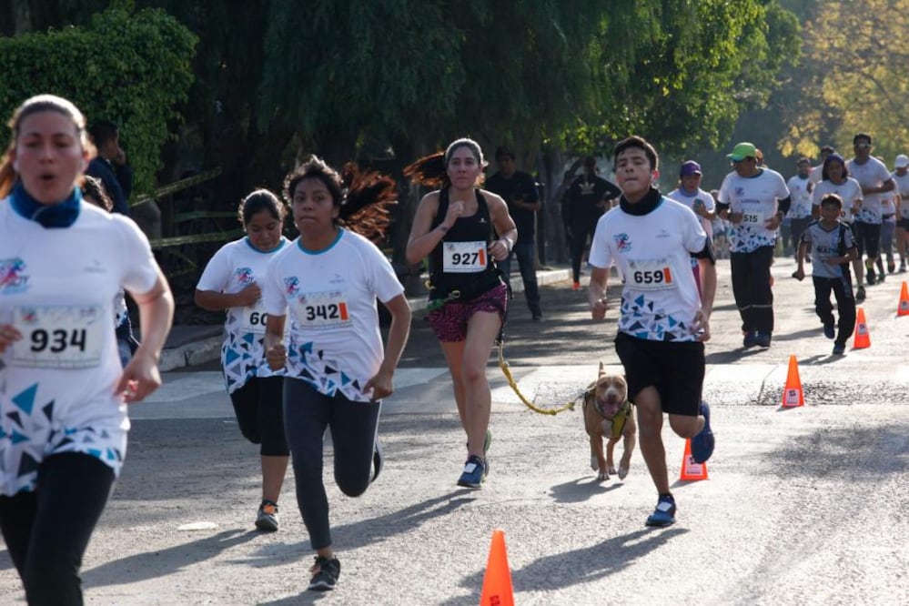 Se celebró la séptima edición de la carrera “Soy universitario por siempre”, de la Universidad Autónoma de Querétaro (UAQ), que tuvo lugar en las instalaciones de esta alma máter, en donde el compañerismo y el entusiasmo fueron los elementos que distinguieron a los participantes.