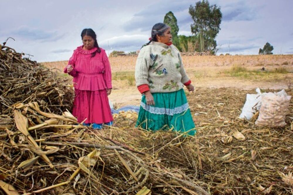 Edificarán centros de justicia para indígenas