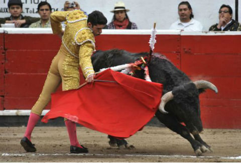 Marrón sale al quite en Juriquilla