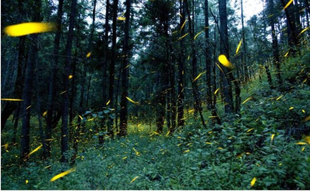 Imagen ilustrativa. Foto: Turismo de Tlaxcala