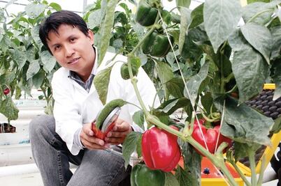 Certifican a carrera agroindustrial