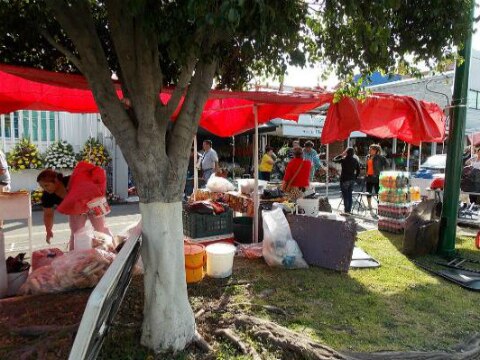 Sector Salud realiza operativos