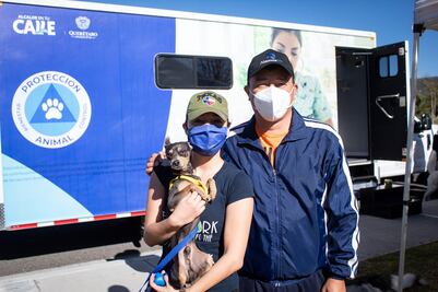 ¡Histórico! Esterilizan a más de 6 mil perros y gatos en Querétaro
