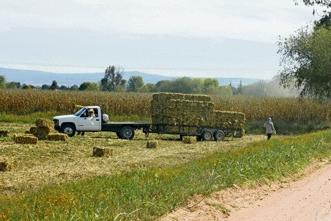 Campesinos se quejan de acoso de federales