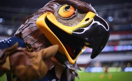 Pide matrimonio vestido de botarga del América