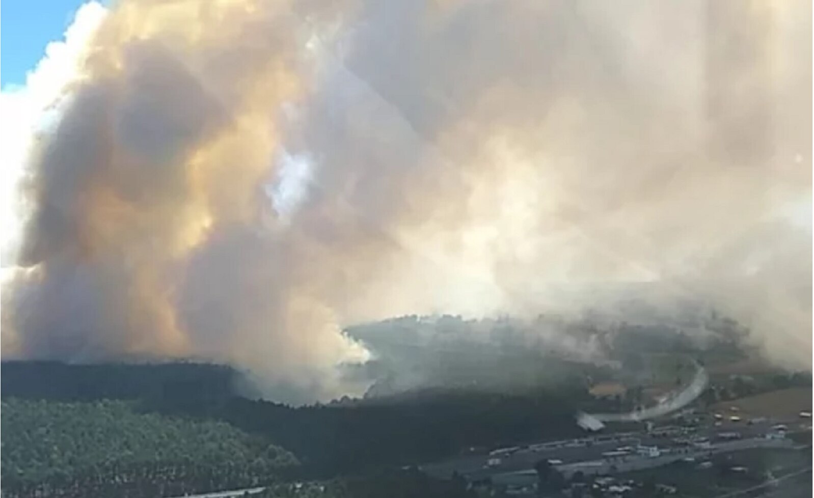 Incendio consume área protegida en Veracruz