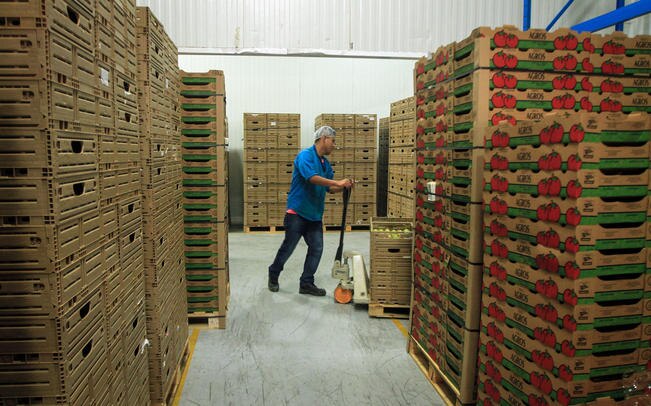 Crecen 13.7%  exportaciones; van más de 10 mmdd este año