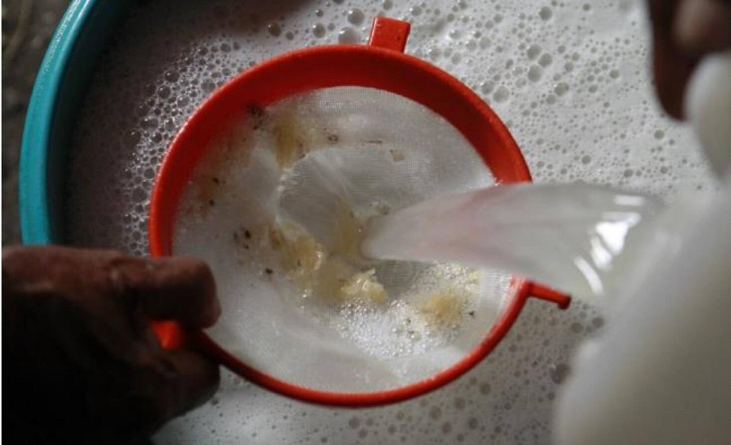 El Pulque, bebida ancestral rodeada de mitos y leyendas