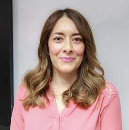 Se empantana instalación  del sistema  anticorrupción 