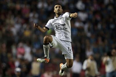 Gallos, listo para hacer historia