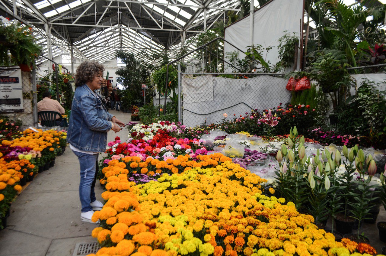 Foto: Facebook Servicios Públicos Municipales de Querétaro