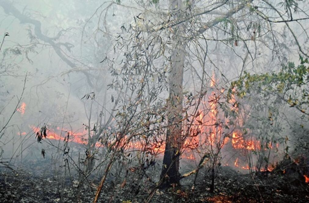 Registra El Marqués tres incendios al día