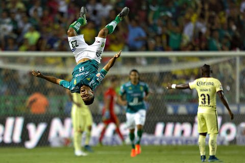 Un mortal zarpazo