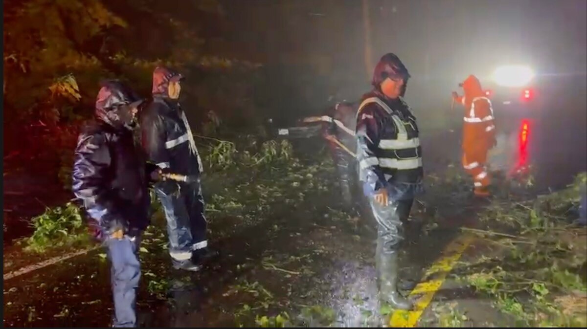 Foto: Captura de pantalla