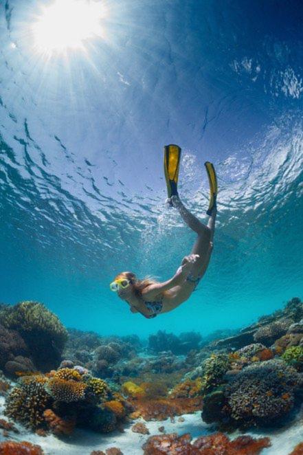 Playa, cenotes y aventura en Puerto Morelos