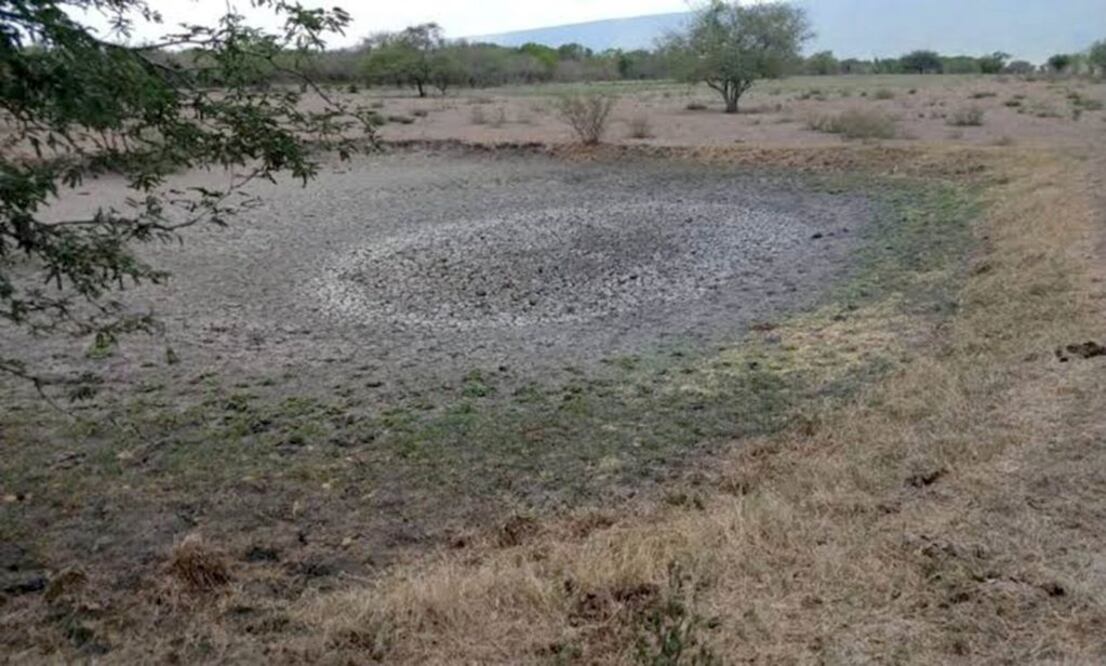 Foto: Archivo El Universal