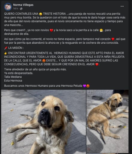 Terminan los novios y la echan a la calle en Querétaro; busca una nueva familia