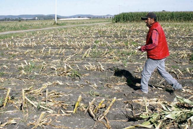 El Marqués, uno de los más afectados por fuertes lluvias
