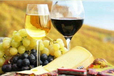 Alista TX  feria del queso y el vino