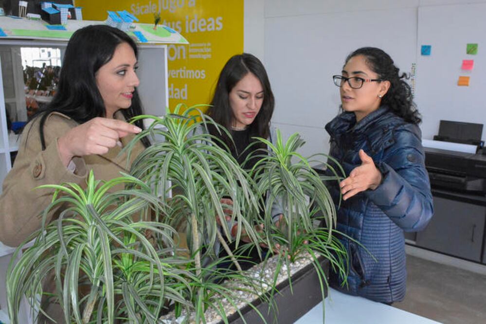 Los estudiantes de Ingeniería en Energía explicaron que el sistema tendría un costo de 41 mil pesos y resulta más económico que otros.