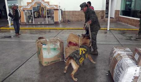Ejército busca narcóticos en terminal de San Juan