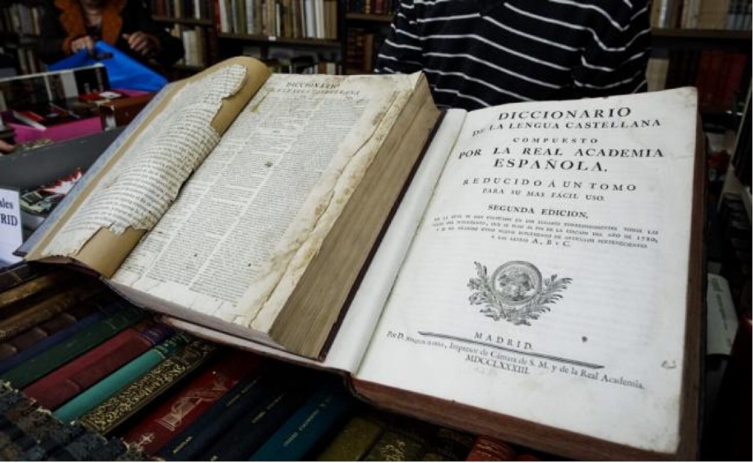 La RAE estudiará adecuar "lenguaje inclusivo" en la Constitución de España