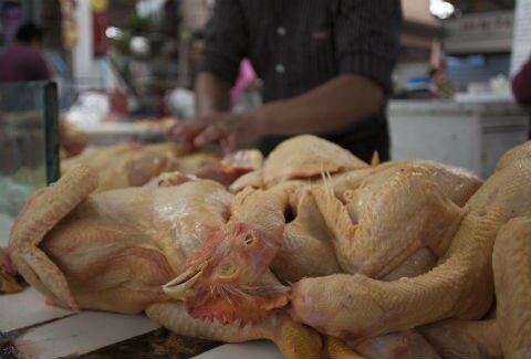 Descartan incremento en precios