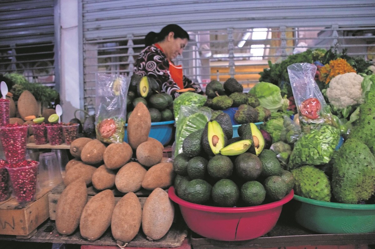En una semana, kilo de aguacate alcanzó los 94 pesos en Querétaro