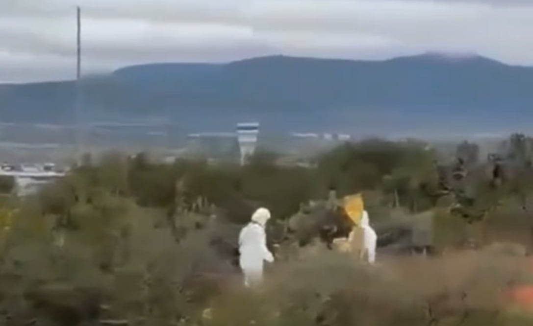 Foto. Captura de pantalla