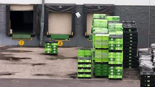 Proyectan duplicar cifra de firmas que exporten
