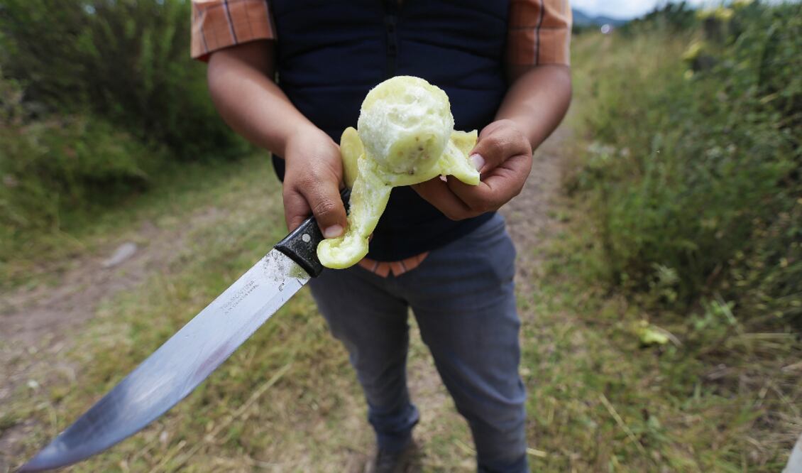 FOTO: Gonzalo Ibañez