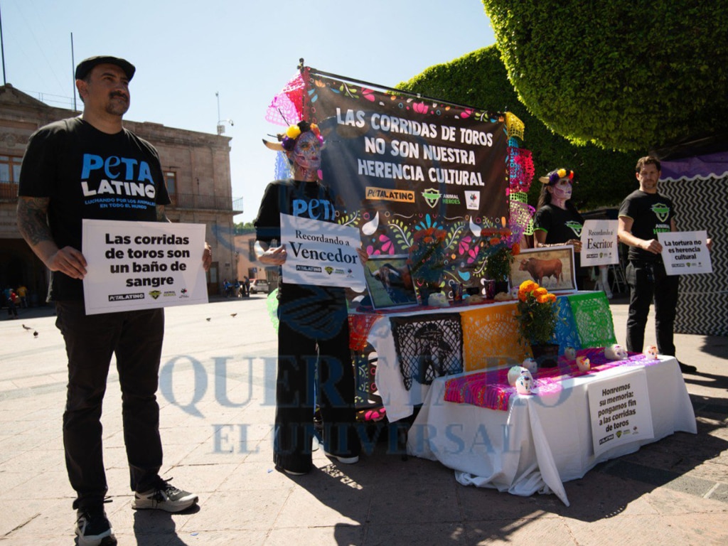 FOTO. FERNANDO CAMACHO