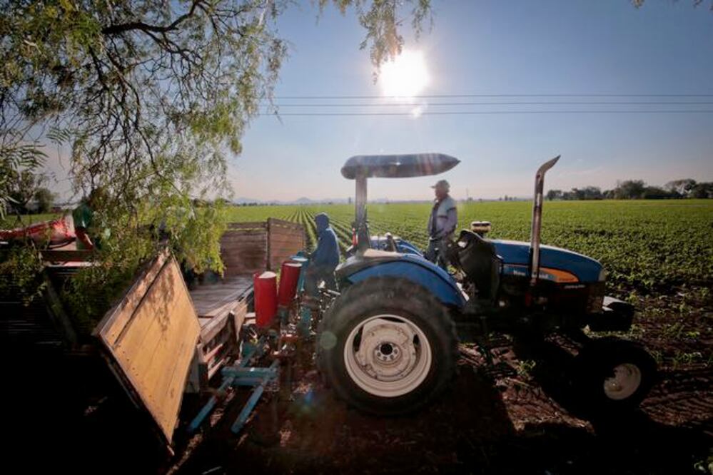 En 2016 el estado ejerció un recurso de 90 millones de pesos para el campo, duplicado con la aportación federal, recordó el legislador José González Ruiz (ARCHIVO. EL UNIVERSAL)