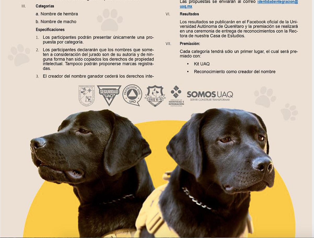 UAQ lanza convocatoria para nombrar a los dos nuevos lomitos universitarios