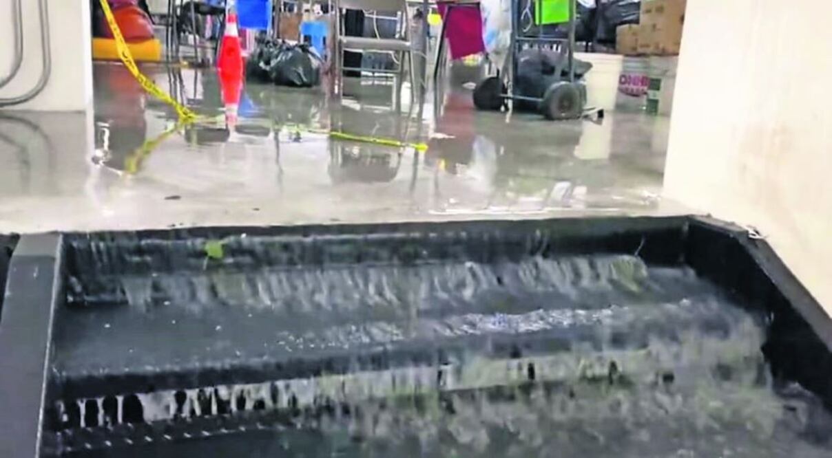 Foto: Captura de pantalla