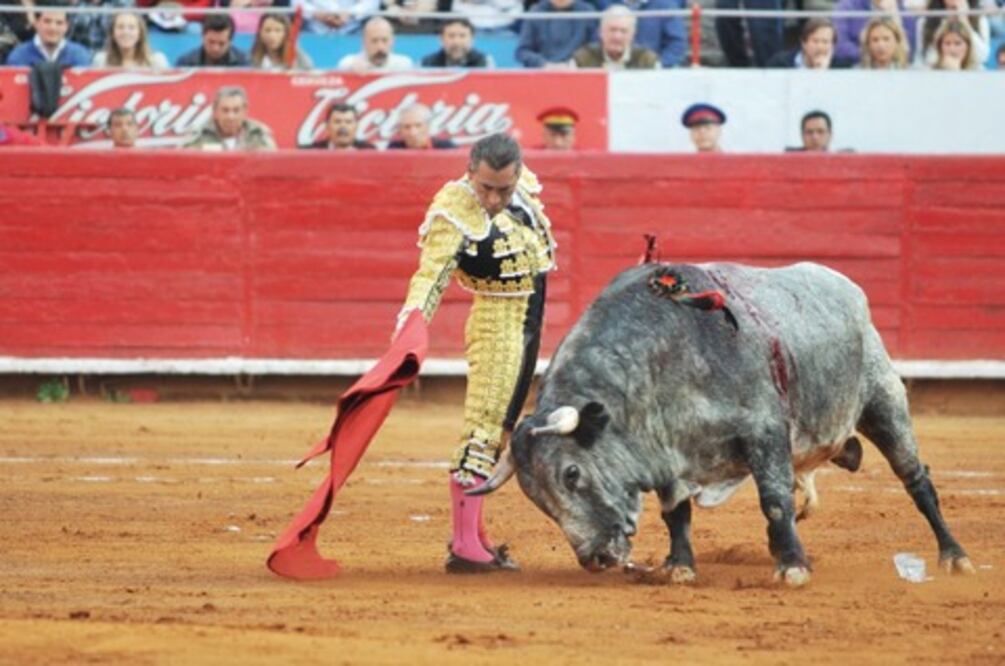 ‘Zotoluco’ se recupera de lesión 