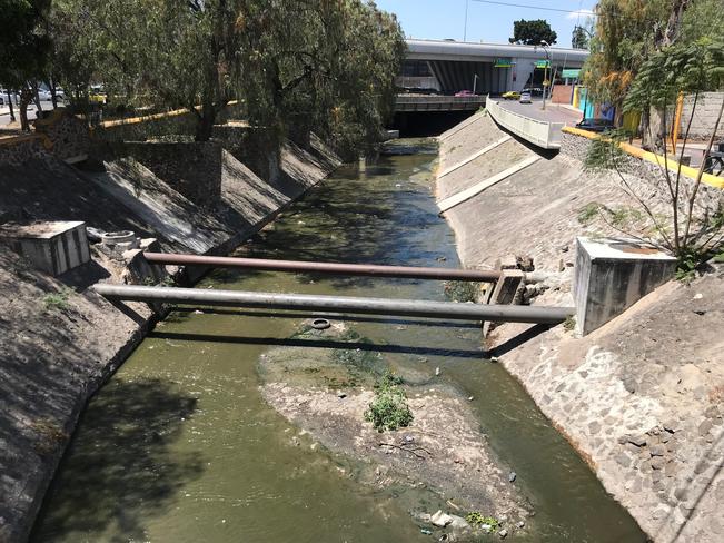 Foto: Demian Chávez