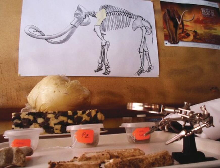 Hallan restos de mamut