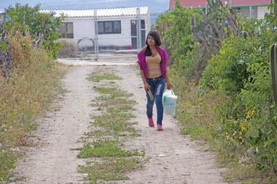 Prometen en SJR regular en corto plazo 20 asentamientos